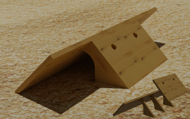 abri pour jeunes sternes